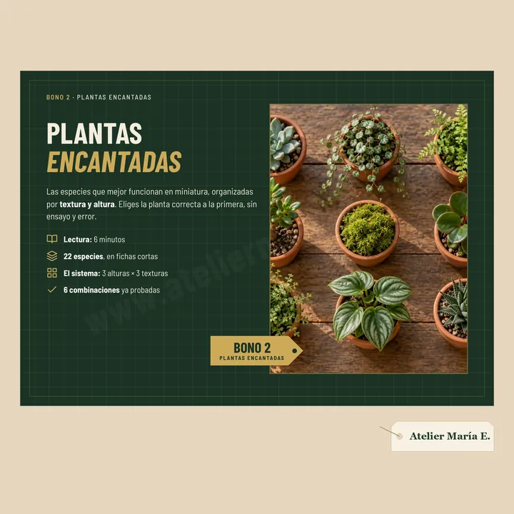 Plantas Encantadas